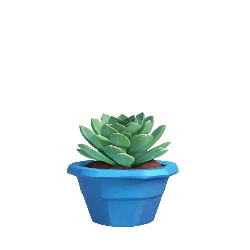 Succulent